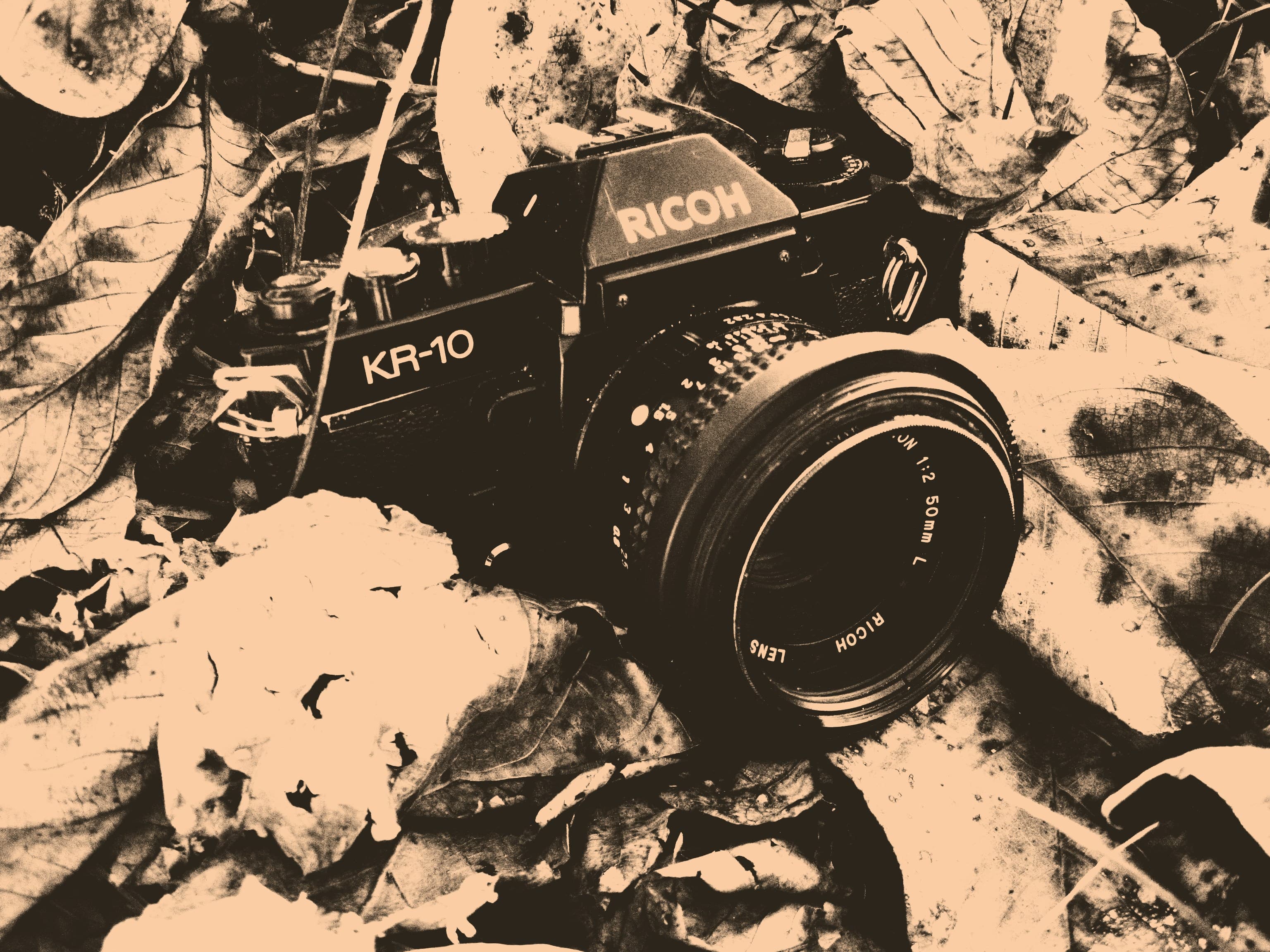 Cover image for Ditch the Stock Photos: 10 Ways AI Images Can Make Your Personal Brand Irresistible